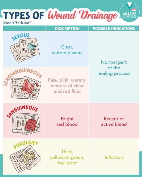 Types of Wound Drainage: Identifying Features